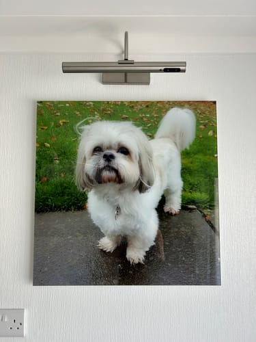 Customer photo review of "40x40" Custom Design Glass Wall Art