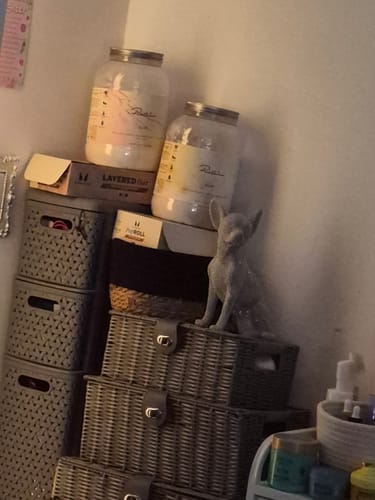 Customer photo review of Protein Shaker, 13.5 oz