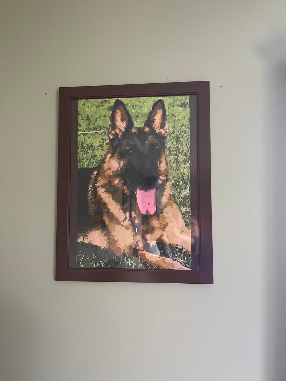 Customer photo review of Paint Your Pet by Numbers - Personalized Pet Portraits