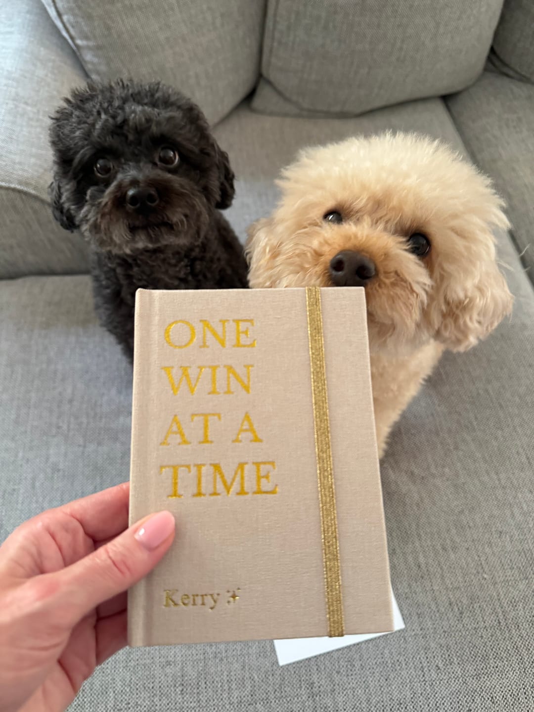 Customer photo review of One Win at a Time Notebook