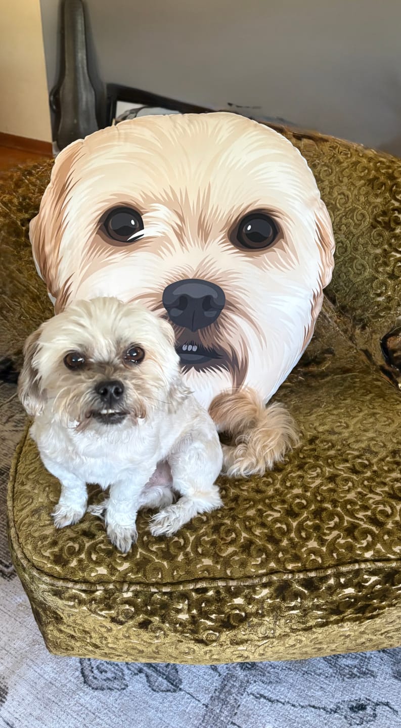 Customer photo review of Custom Shaped Pet Portrait Pillows