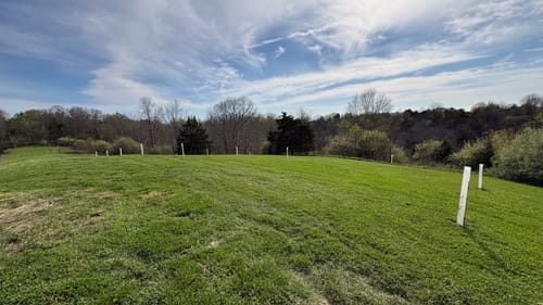 Customer photo review of Hybrid Chestnut