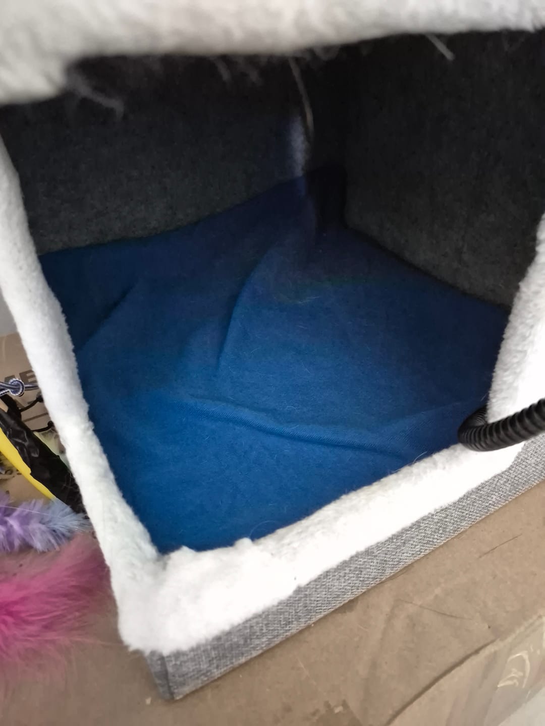 Customer photo review of Electric Heating Pet Bed Mat Heated Blanket Pad Timers Removable Cover