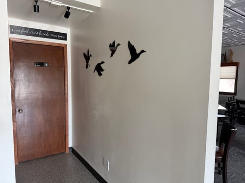Customer photo review of Ducks - Metal Wall Art