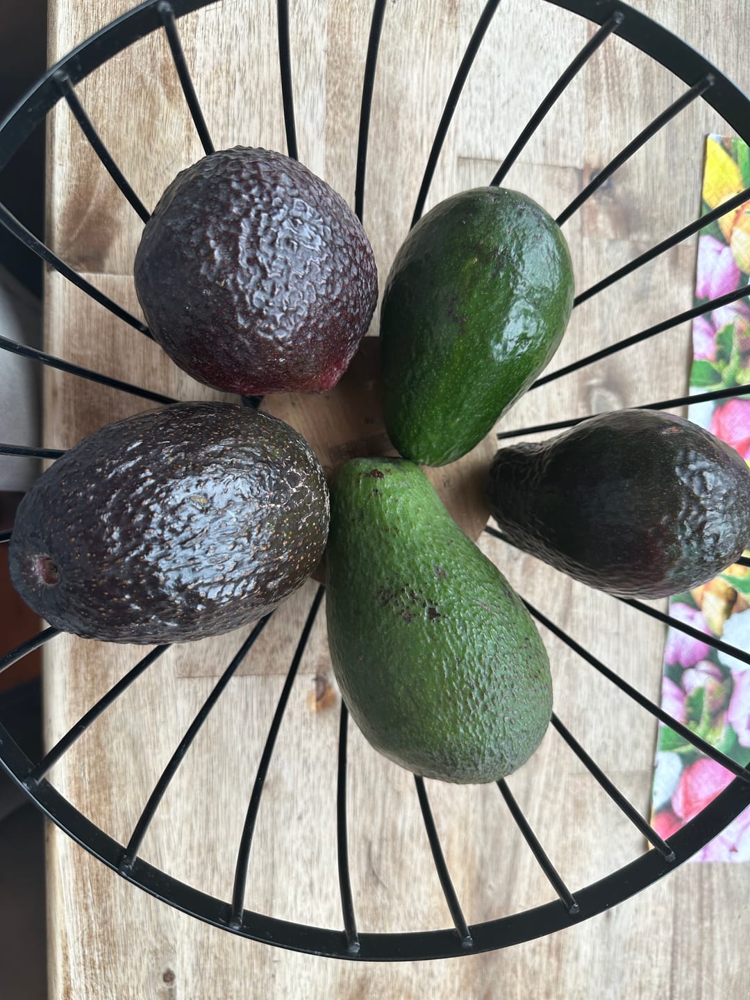 Customer photo review of Avocado-Mix 13 Monate baumgereift Sonderaktion % 2kg Box