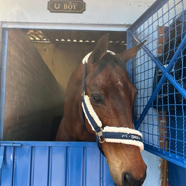 Customer photo review of Personalized Horse Stall Name Plate – Gold on Black Layered Wood Sign (Single Name)