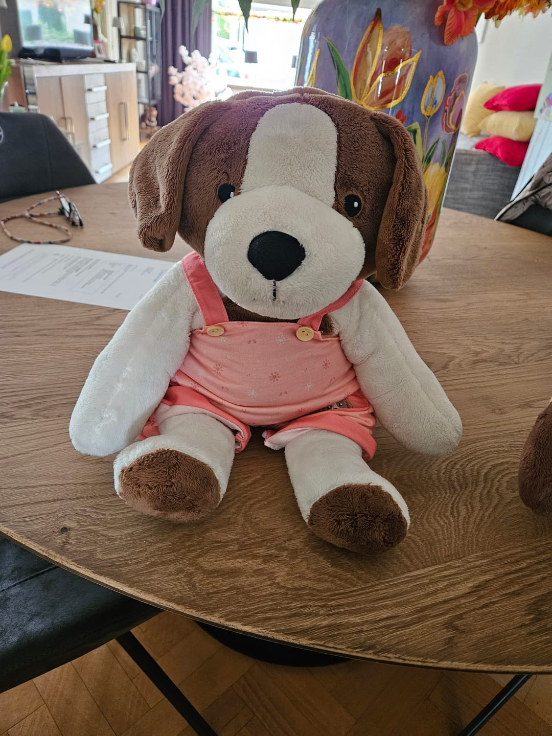 Customer photo review of Hond Kleding Lente Lotgenootje
