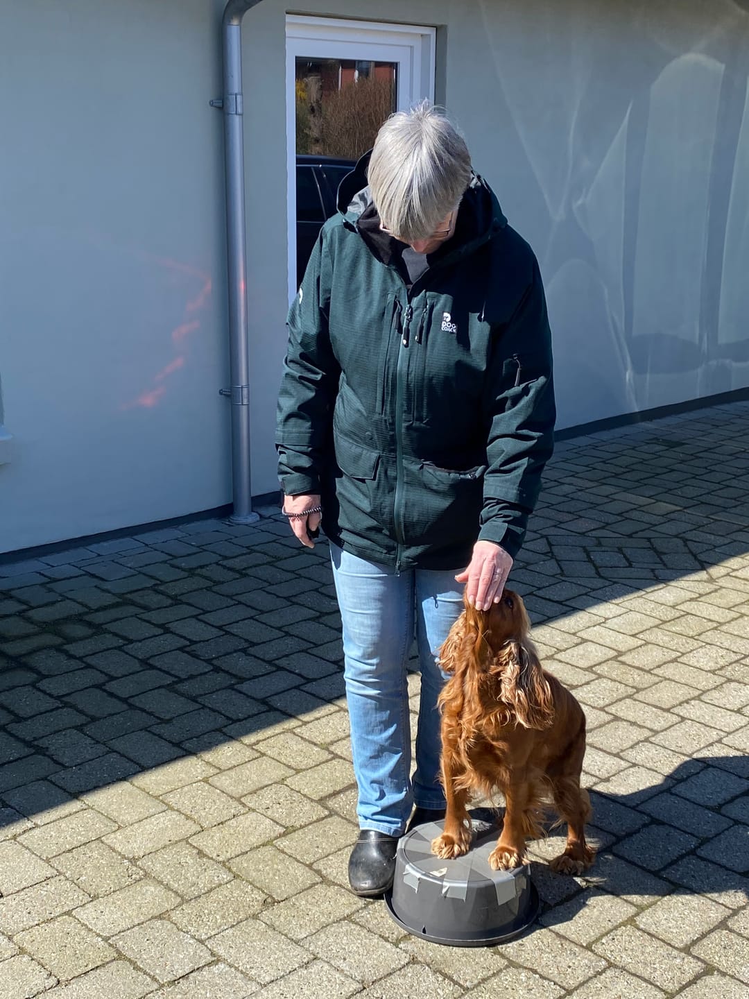 Customer photo review of Pack&Carry Shell Jacket 2.0 | Pinetree | Teddy