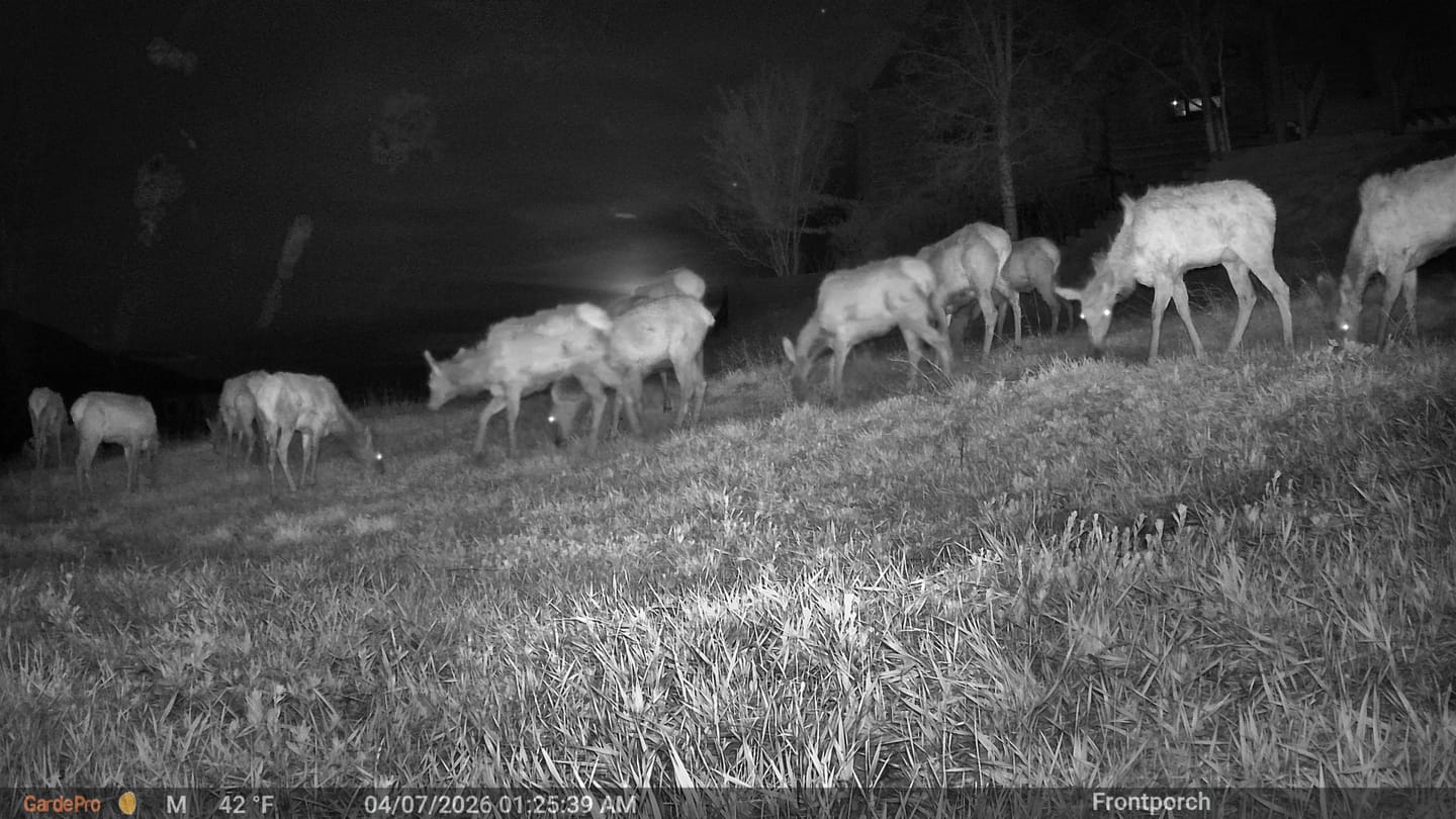 Customer photo review of GardePro E8 2.0 Pro Wi-Fi Trail Camera