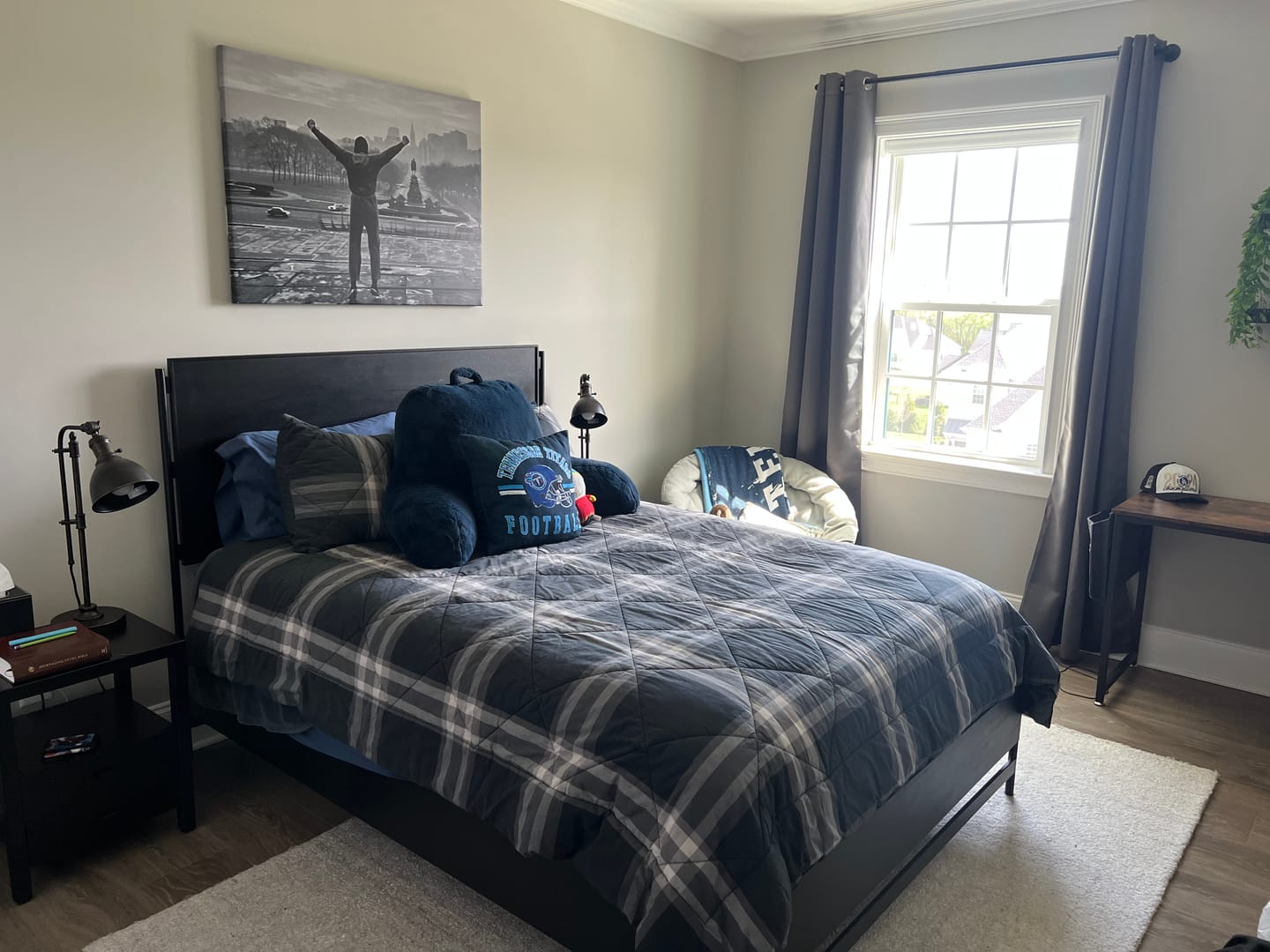 Customer photo review of Rocky Wall Art