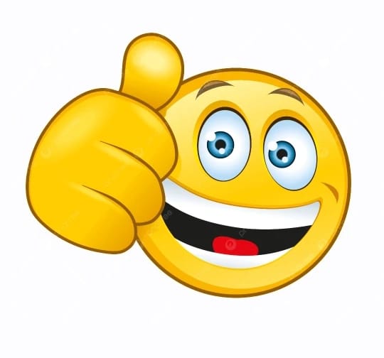Customer photo review of Taharah Portable Electric Bidet
