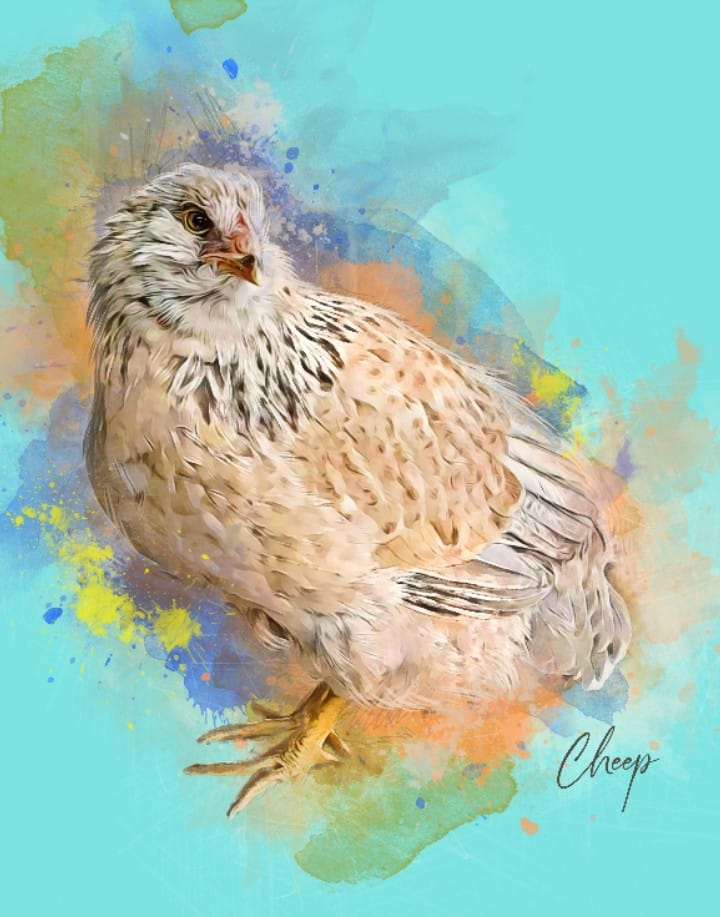 Customer photo review of Watercolor Pet Portrait Wall Art