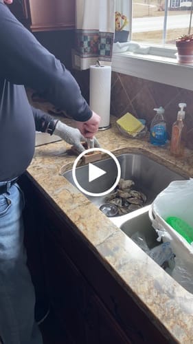 Customer photo review of The OysterClamp 2.0