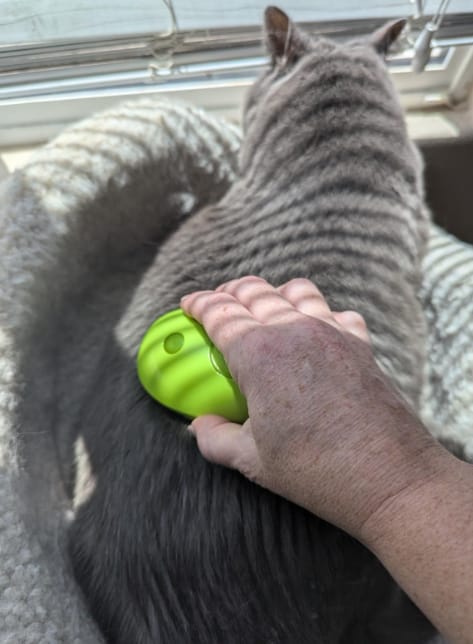 Customer photo review of Elimina el pelo de tu mascota en segundos, sin estrés ni tirones