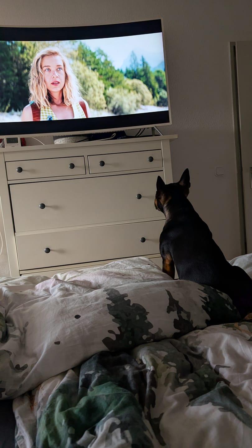 Customer photo review of Allergietest - Tierische Proteine Hund