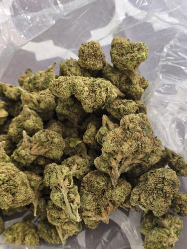 Lemon Bar - Bulk - Sativa photo review
