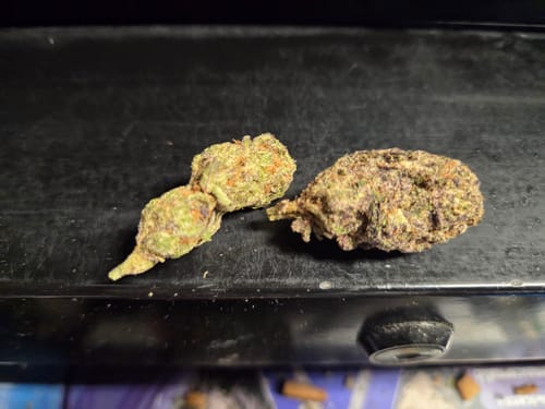 Purple Churro - Bulk - Indica photo review