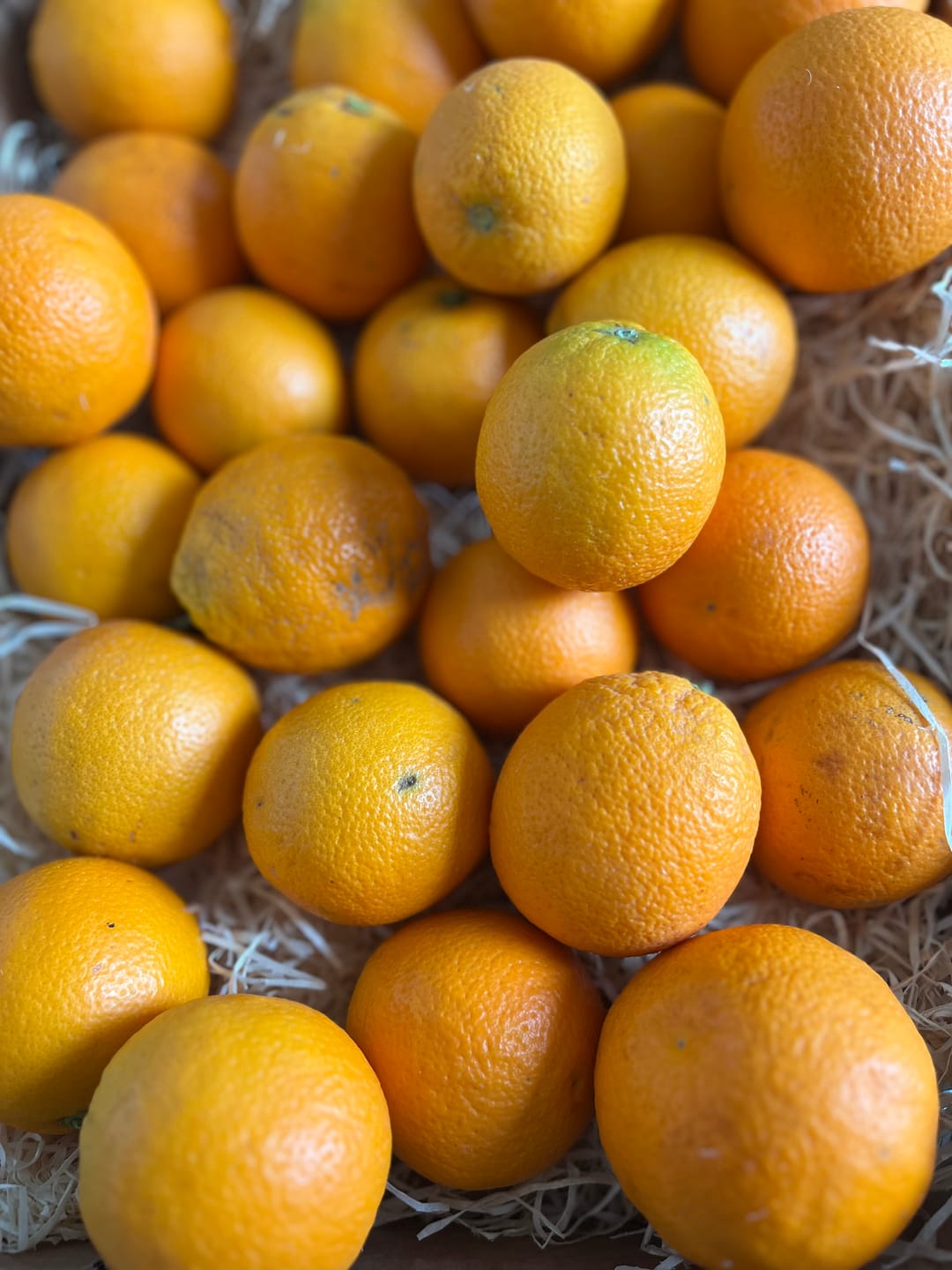 Customer photo review of Saft-Orangen Bio aus Sizilien
