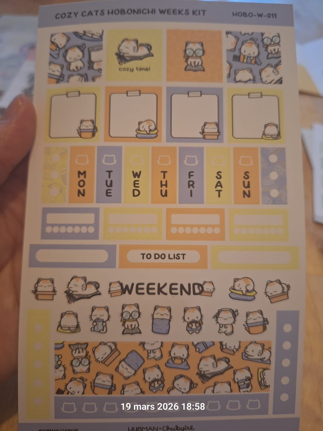 Customer photo review of Cozy Cats Theme Hobonichi Weeks Kit