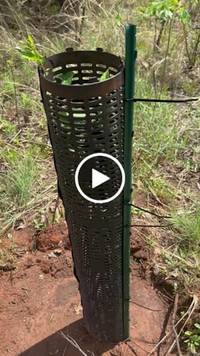 Customer video review of Main Attraction™ Crabapple