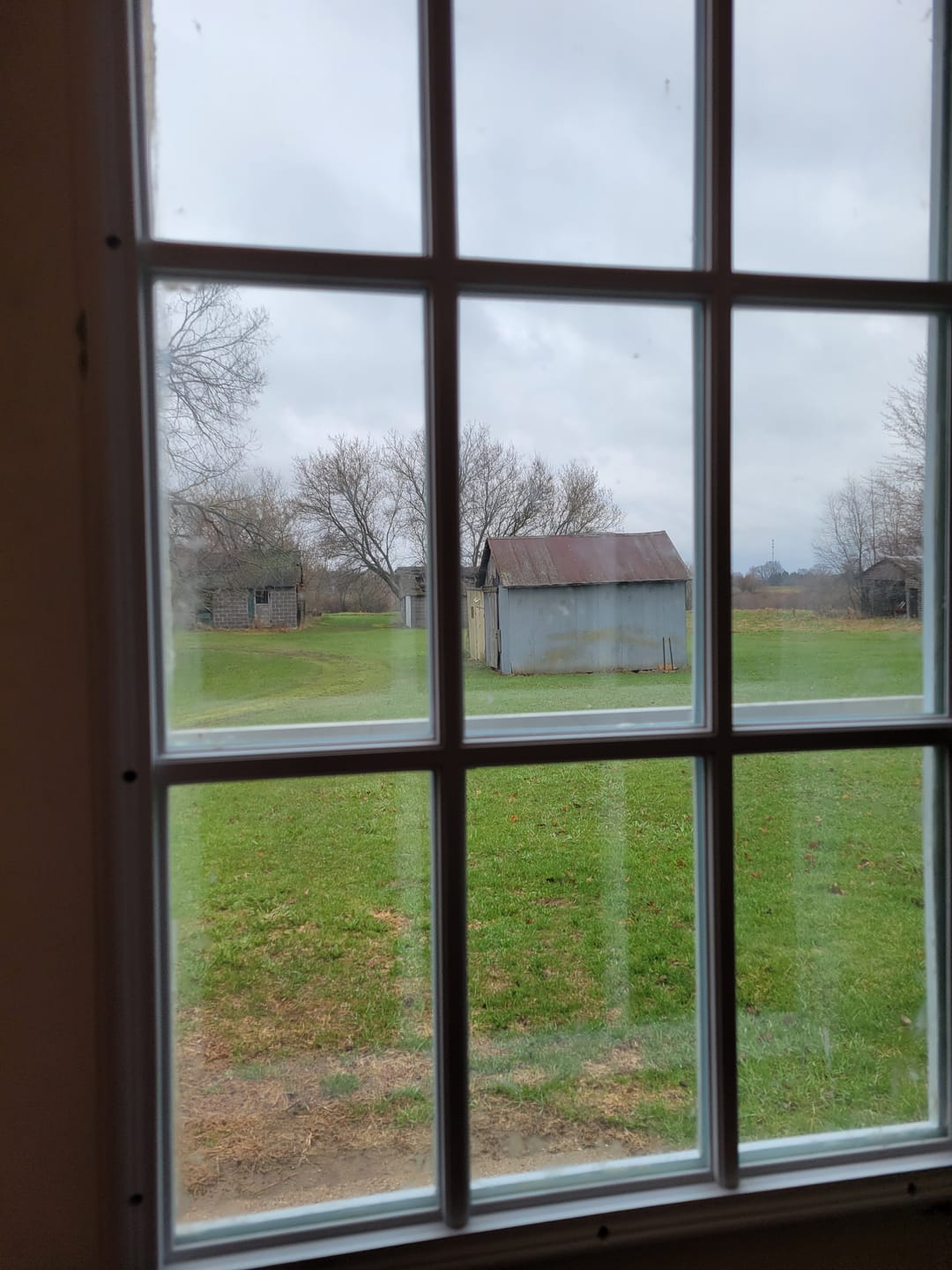 Customer photo review of Half Lite Frame Kit with 9 Grids