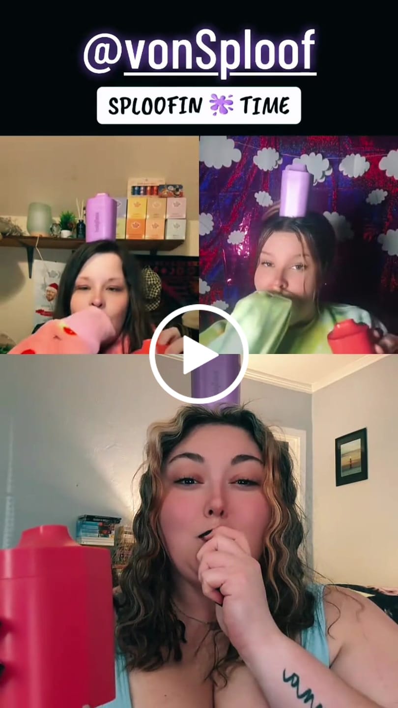 Customer video review of 3-Pack vonSploof Replacement Filters with Optional Mesh