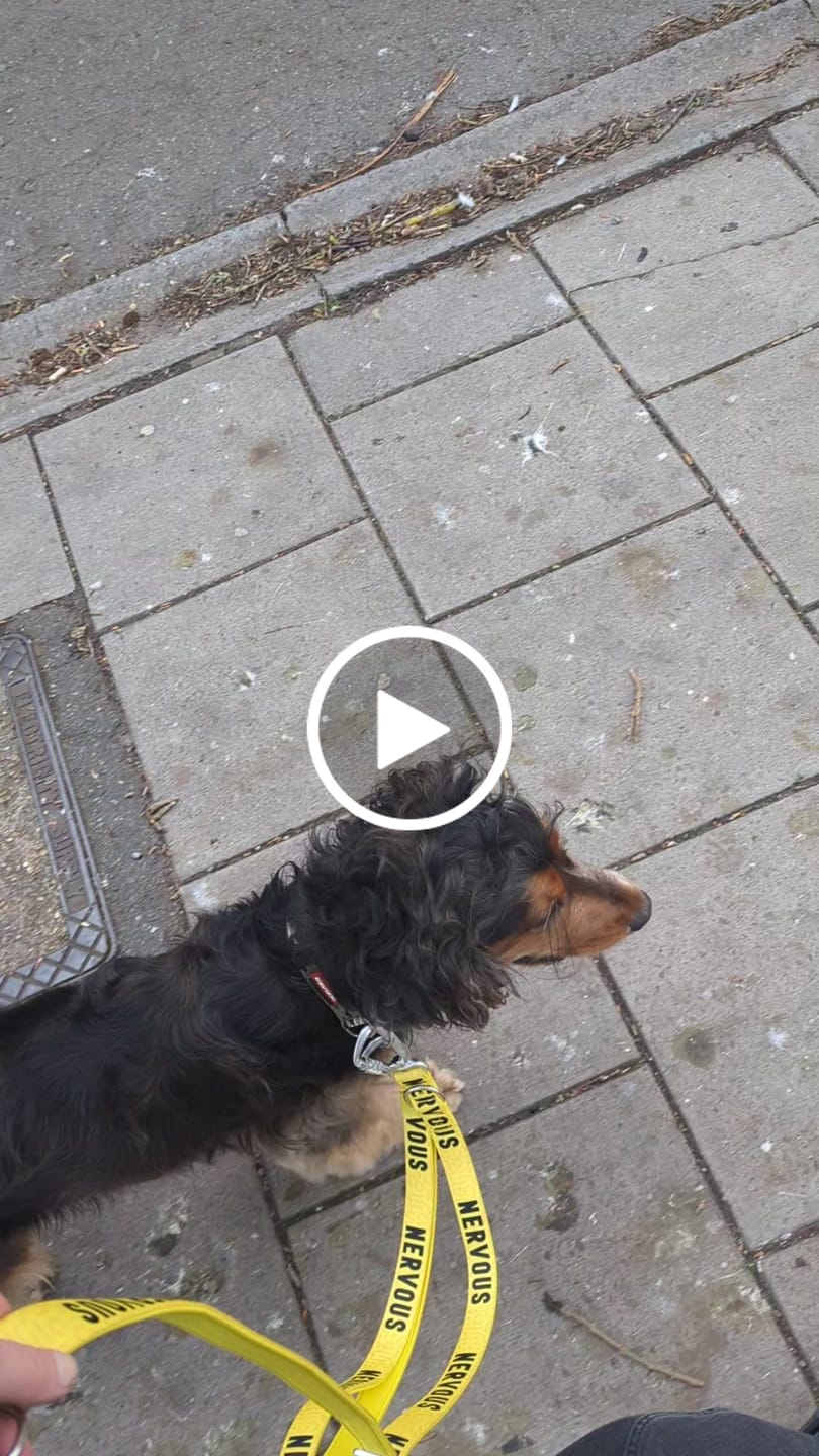 Customer video review of Awareness Multi-Way Lead