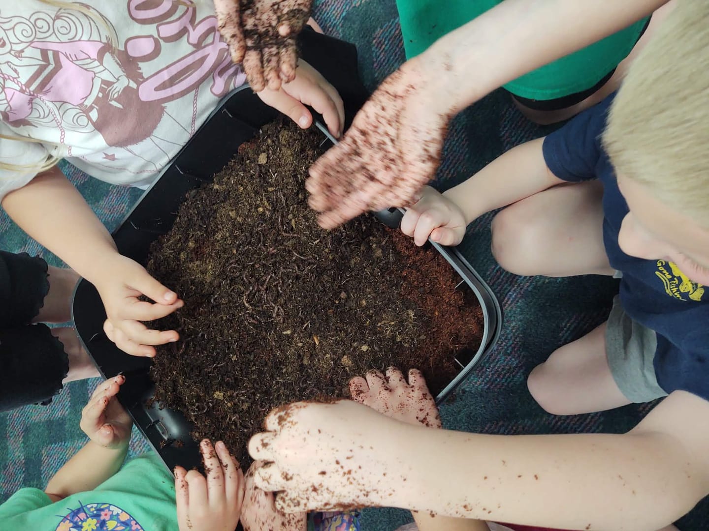 Customer photo review of Red Wigglers Composting Worms
