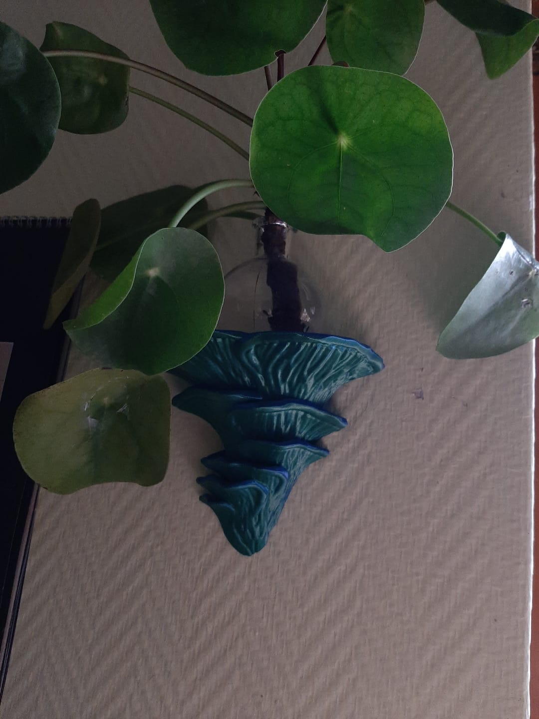 Customer photo review of Flamingo-Seitling Wandregal – Schwebendes Regal für stilvolle Deko