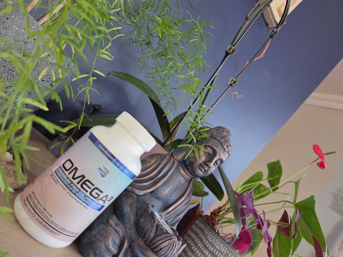 Customer photo review of Omega-3 Softgels
