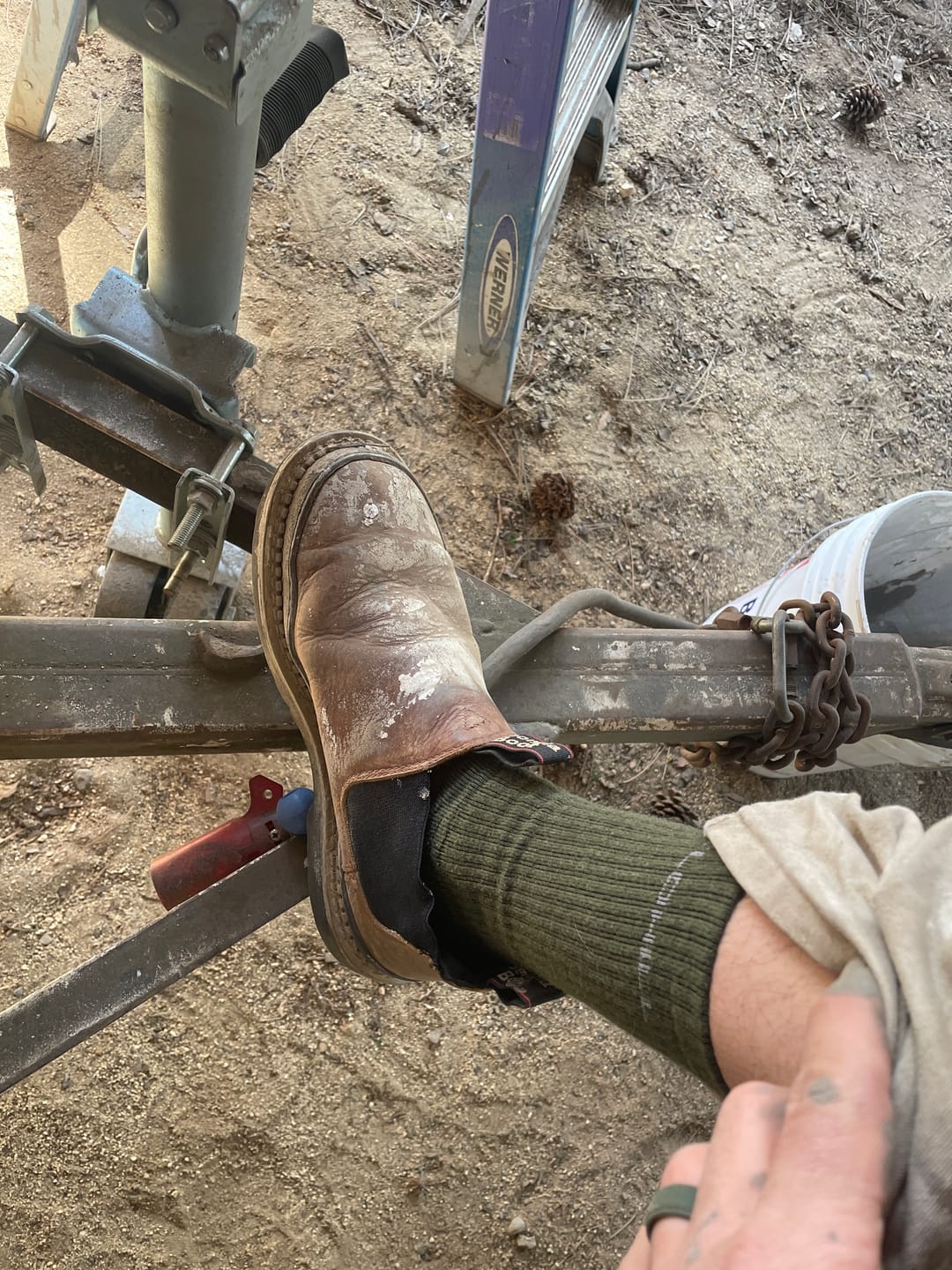 Customer photo review of Crew Socks 8 Pairs