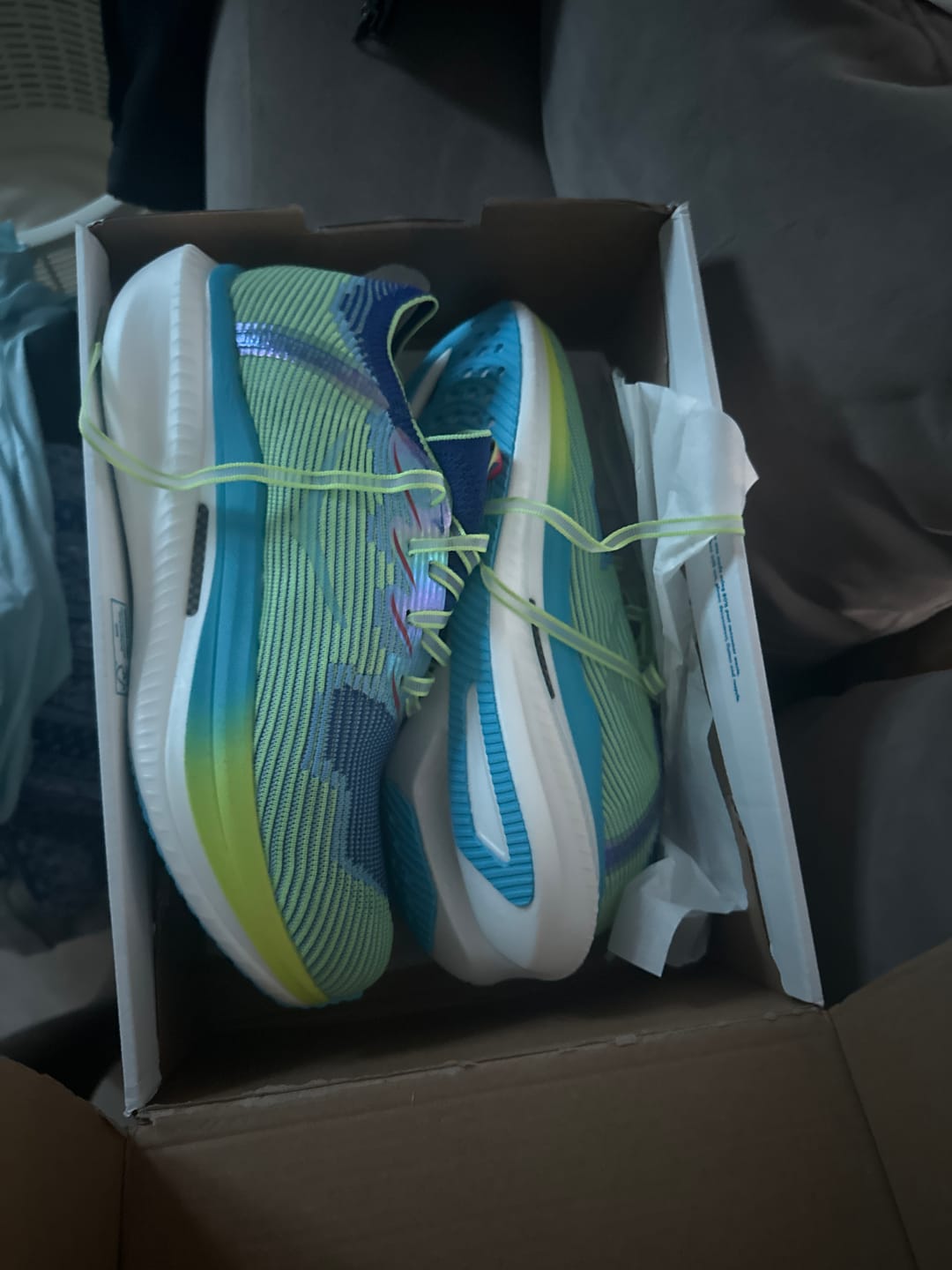 Customer photo review of Cielo X1 'Evening Sky Lettuce'