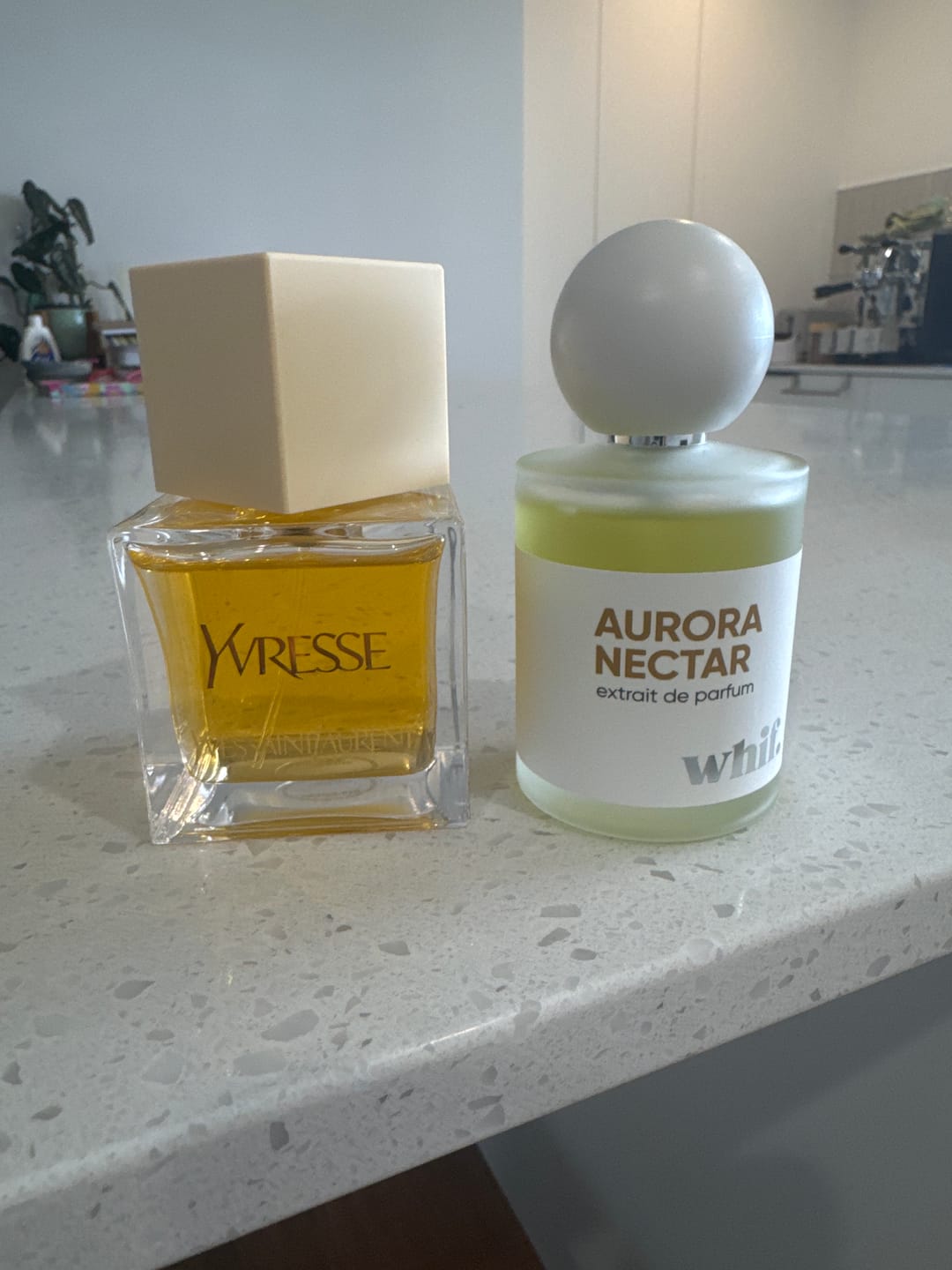 Customer photo review of Aurora Nectar