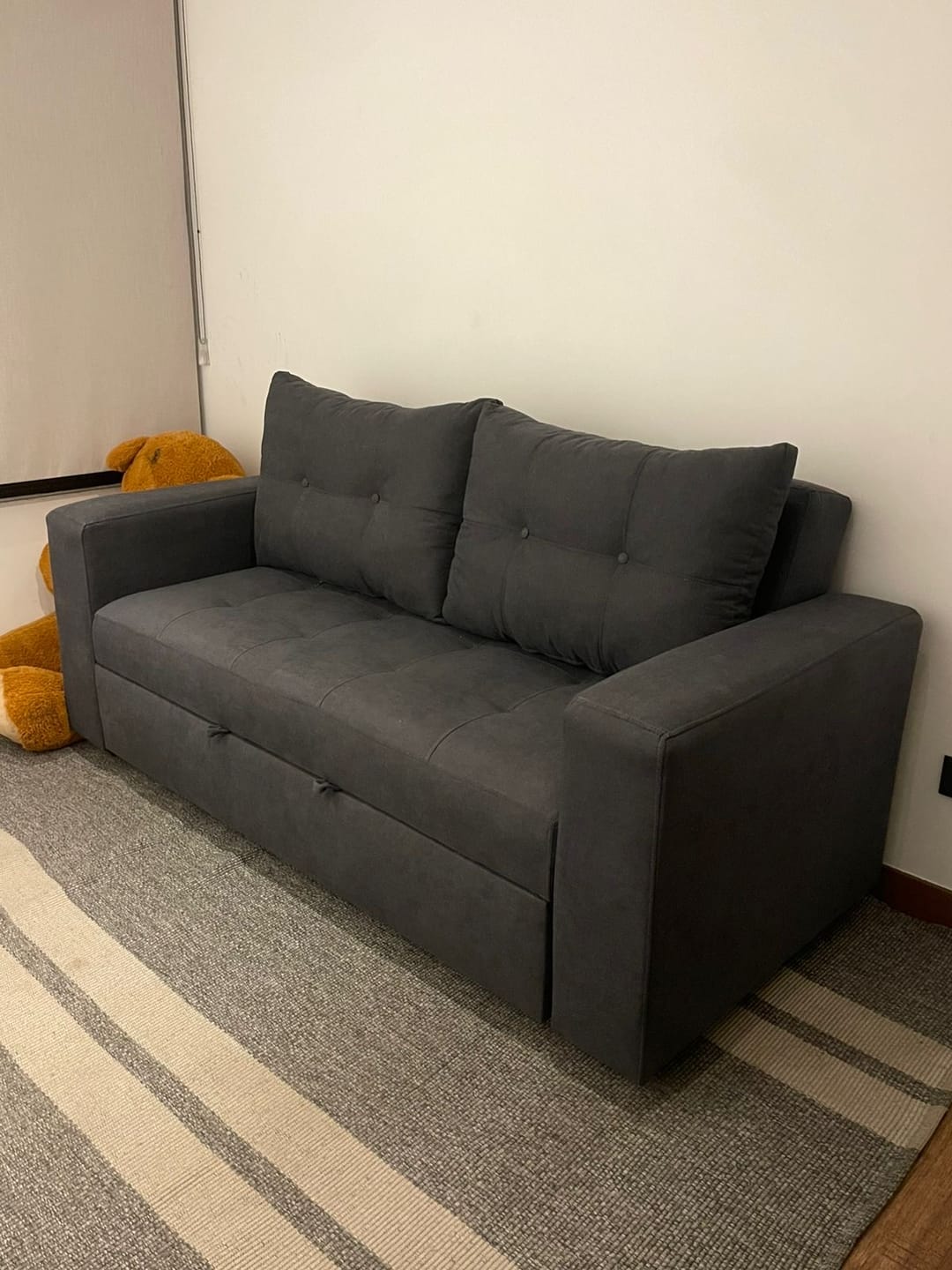 Customer photo review of Sofá Cama Versalles