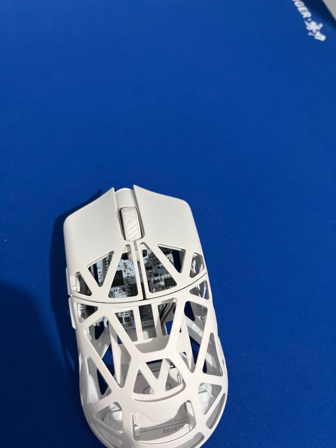 Customer photo review of WLMouse Beast X Pro Magnezyum Wireless Mouse