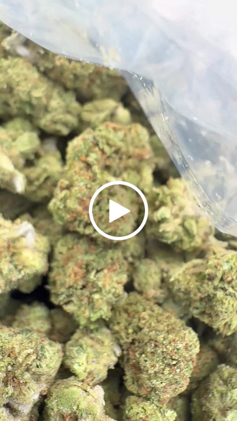 Customer video review of Gary Cherry Minis - Bulk Minis- Indica