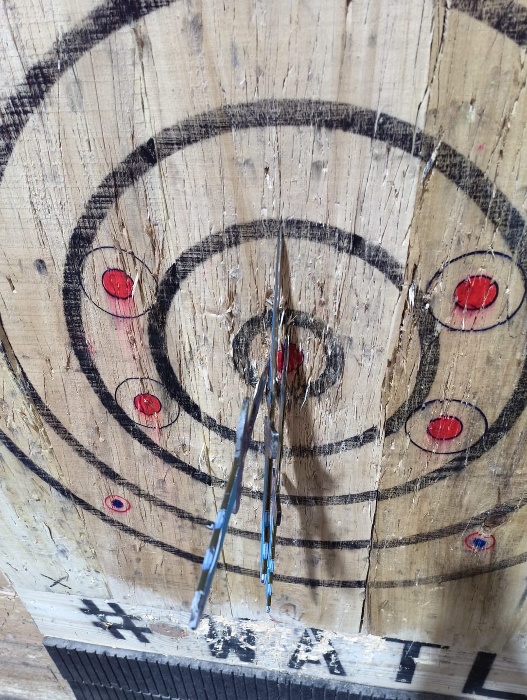 Customer photo review of Toro Khepri Set of 3 Throwing Knives
