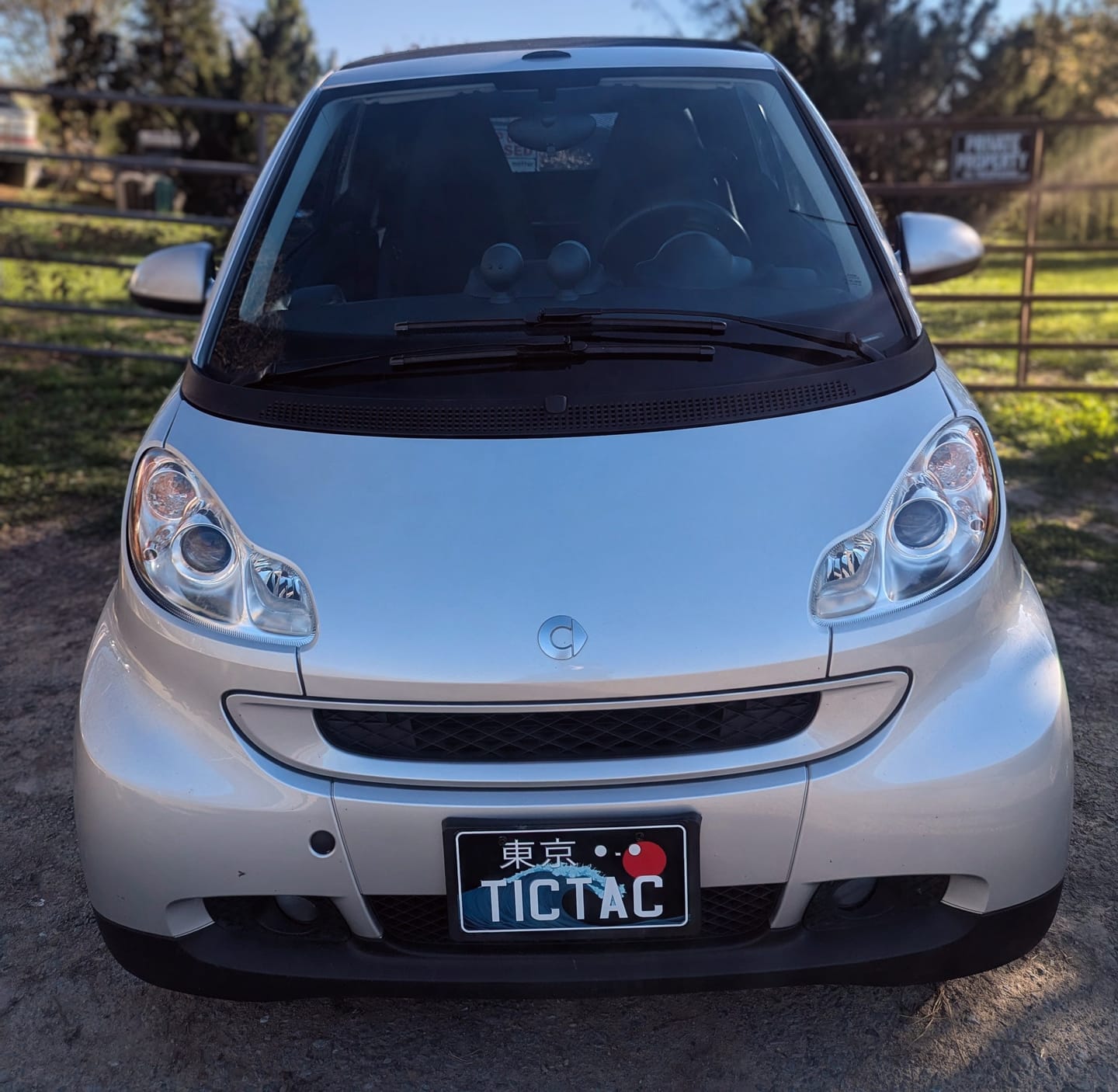 Customer photo review of Custom Japanese License Plate - Vanity & Magnetic Cover