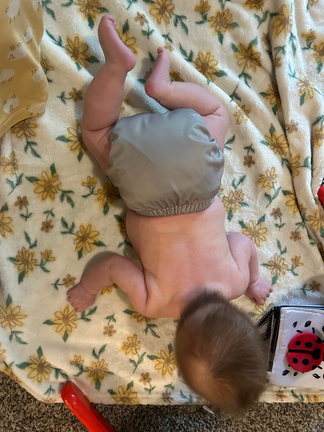 Customer photo review of Slim Fit AIO Cloth Diaper - Daisy