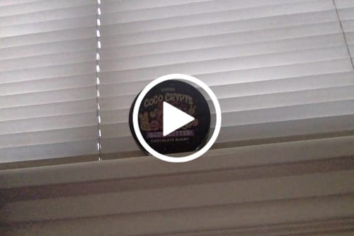 Customer video review of Coco Crypts Body Butter