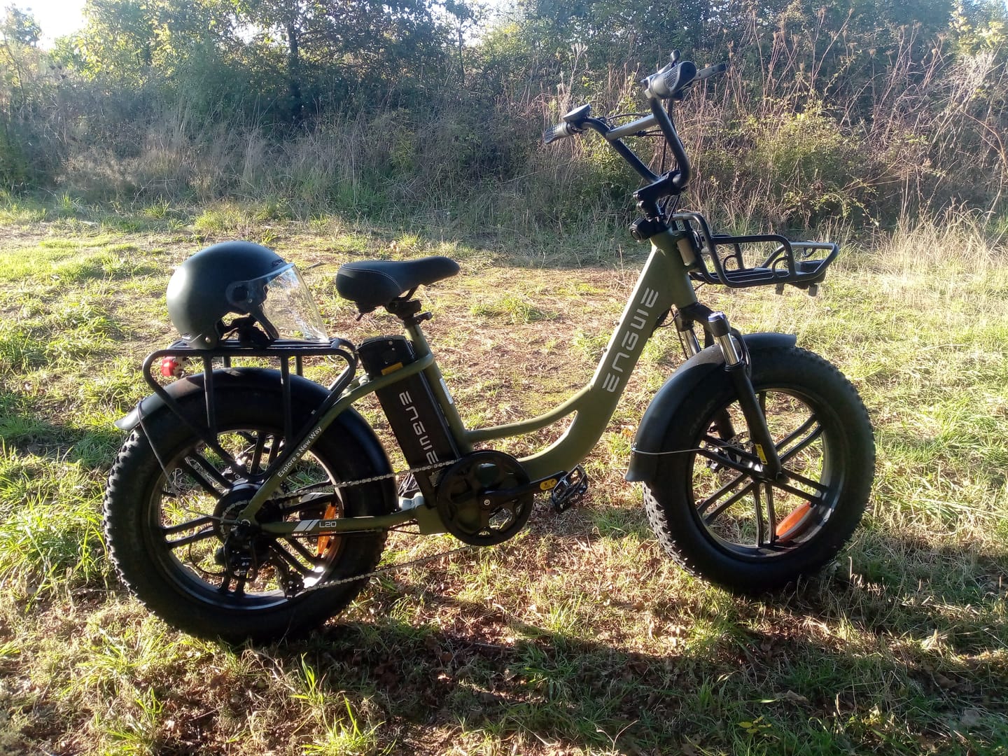 Customer photo review of Engwe L20 SE 250W 20" Foldable Electric Bike 561Wh Trekking Bike Step-through E-bike 36V 15.6Ah Battery