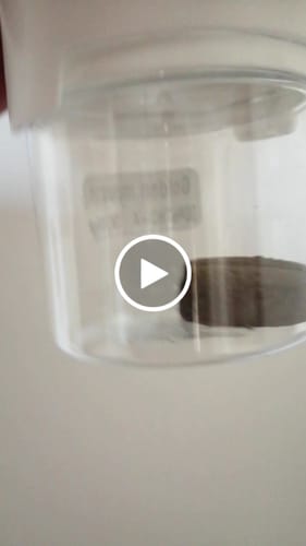 Customer video review of Golden Mousse 30% THCA