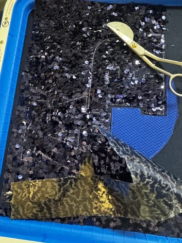 Customer photo review of Sequin on Velvet