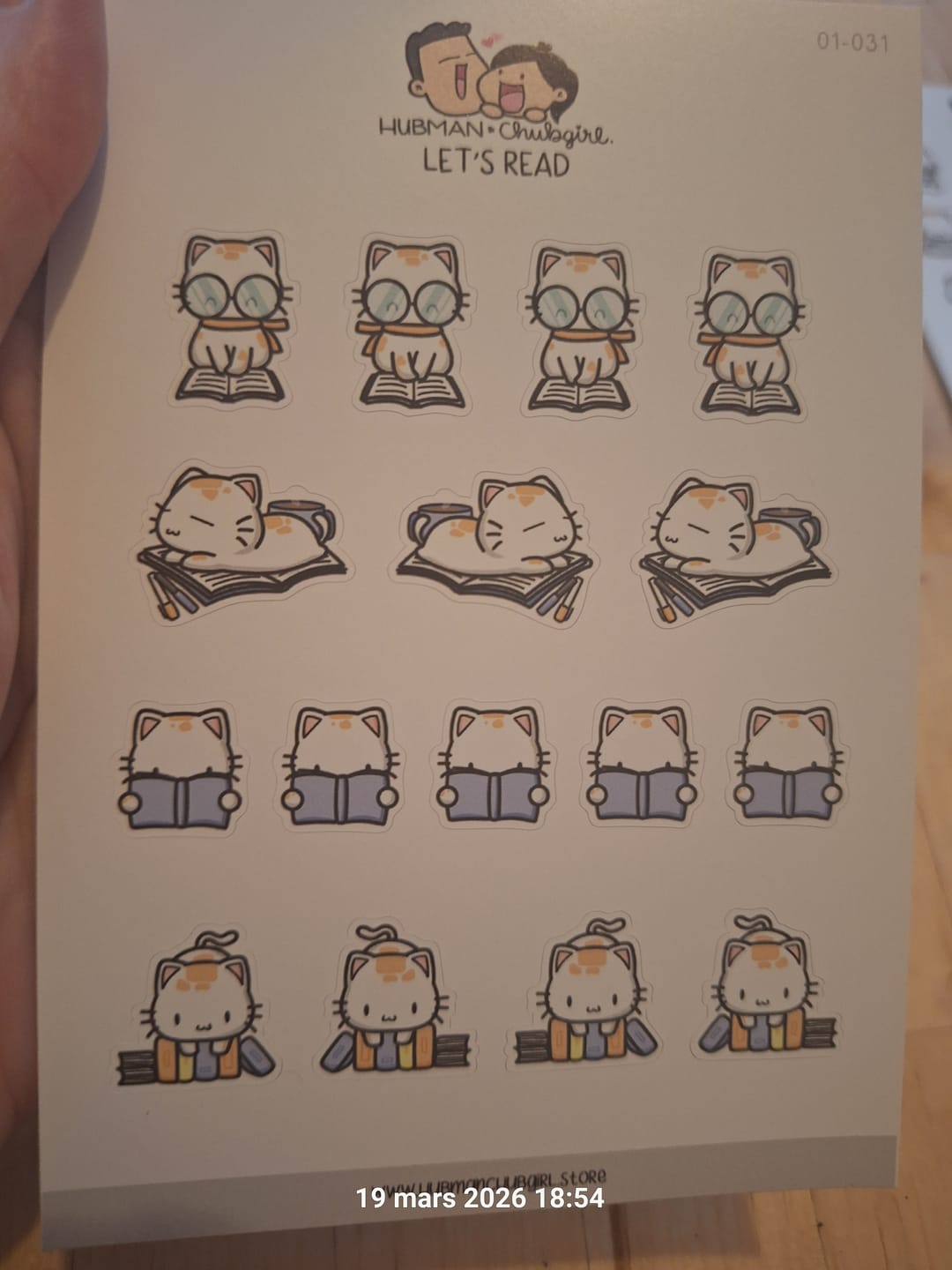 Customer photo review of Let's Read Planner Stickers