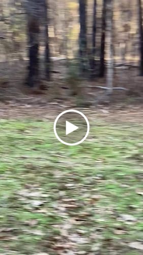 Customer video review of Tree Pro Grow Tubes