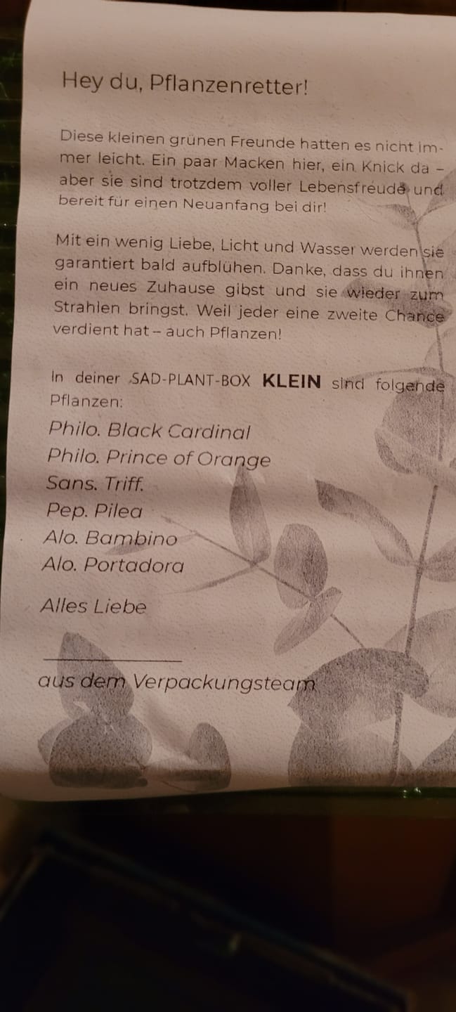 Customer photo review of SAD-PLANT-SET