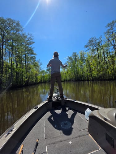 Customer photo review of Overlord