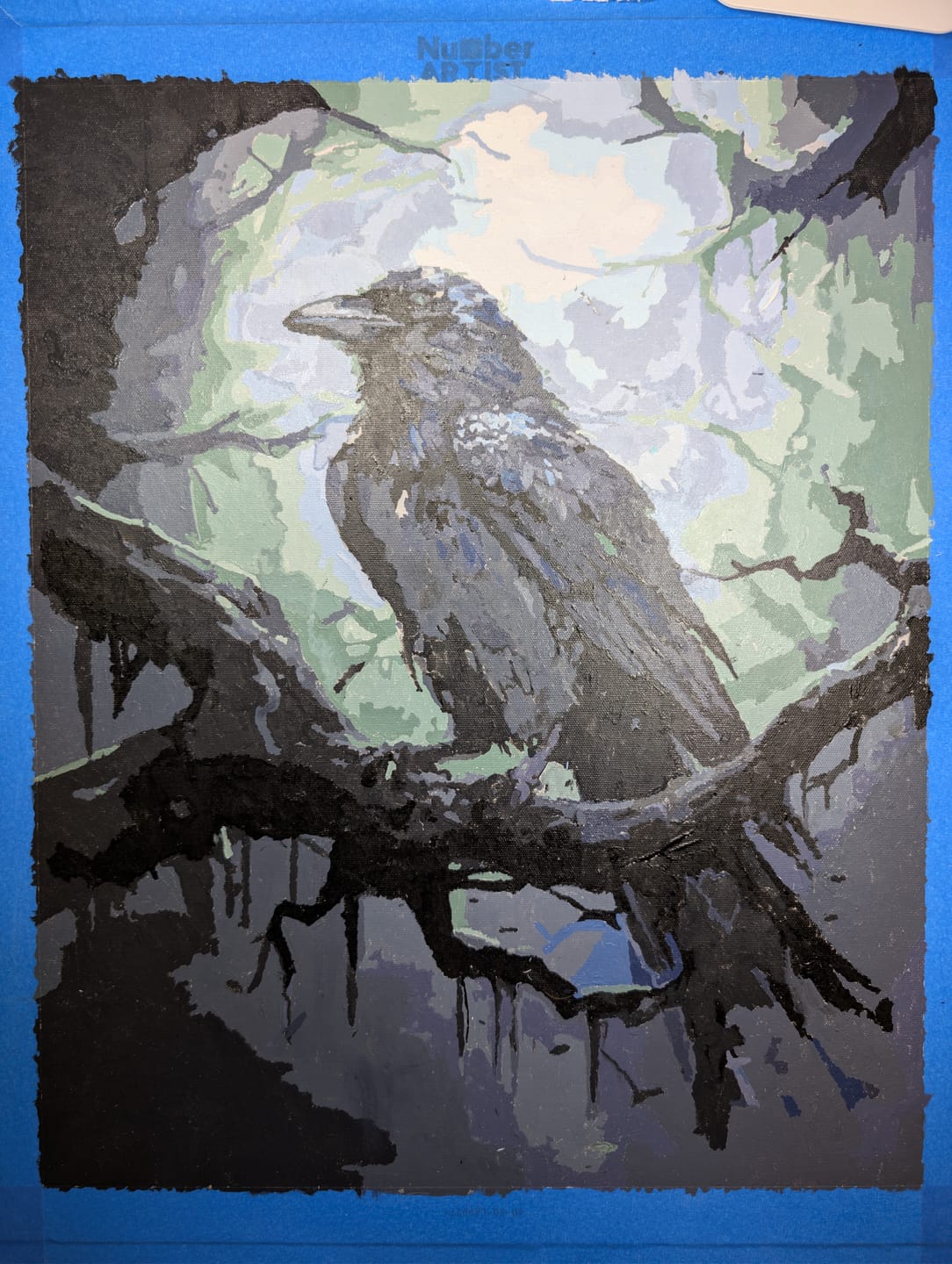 Customer photo review of Mysterious Raven
