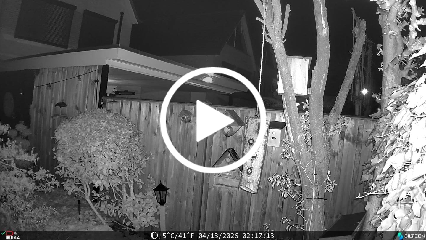 Customer video review of Siltcon® Wildcamera met Zonnepaneel 8K