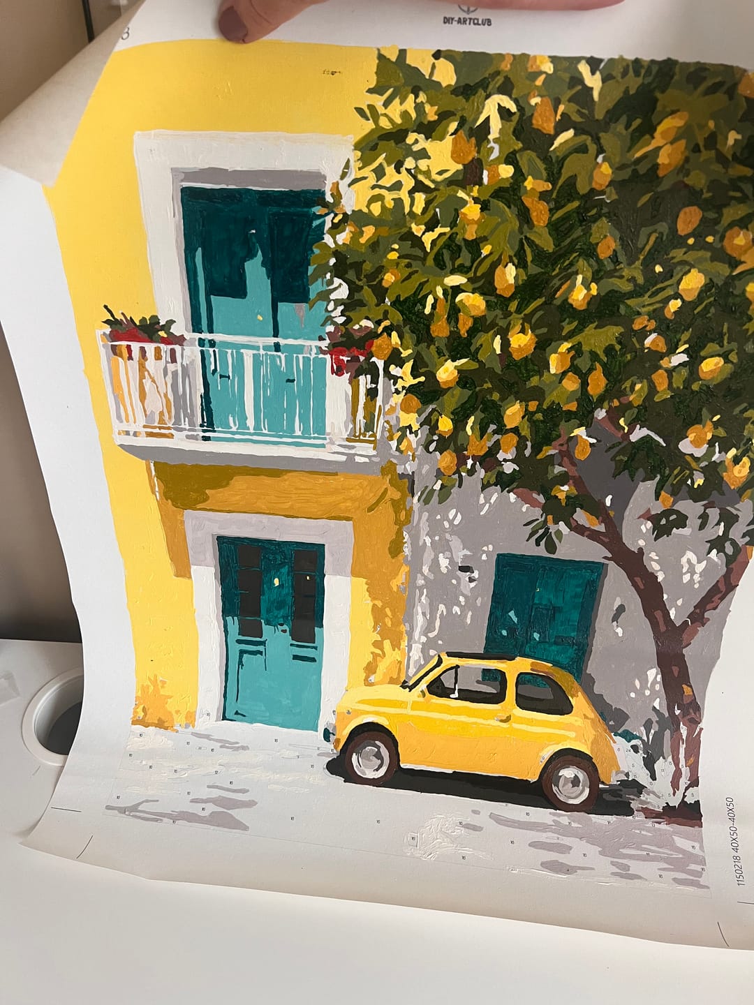 Customer photo review of Mediterranean entrance | Paint by Number